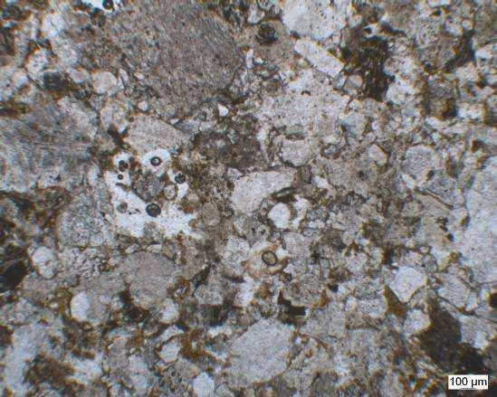 Mineraloji-Petrografi : Petrografik incelemelerde kumtaşlarının kuvars, feldispat, epidot, karbonat mineralleri ve kayaç parçalarından oluştuğu ve karbonat ve killi bir hamur ile tutturulmuş olduğu