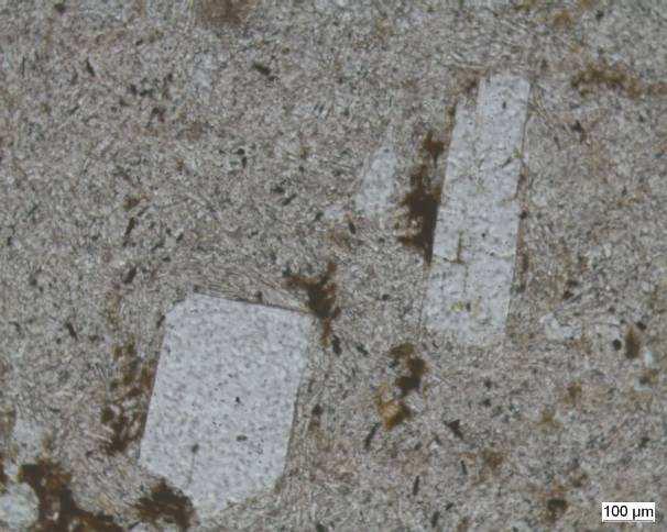 çift nikol Biyotit mineralleri, genelde ince-uzun şekiller sergilemekte olup kahverengi-sarımsı tonlarda pleokroyizma