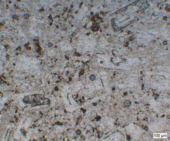Mineraloji-Petrografi : Diyorit porfir kayaçlarında, iri taneli plajiyoklaz fenokristalleri ile daha küçük taneli piroksen, amfibol, ve opak mineraller gözlenmektedir.