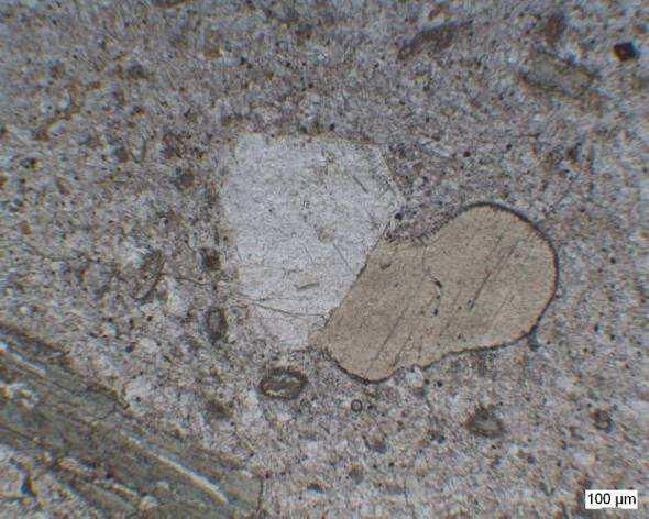 Bazı biyotitlerin kenar zonlarında küçük taneli amfibol minerallerinden oluşan