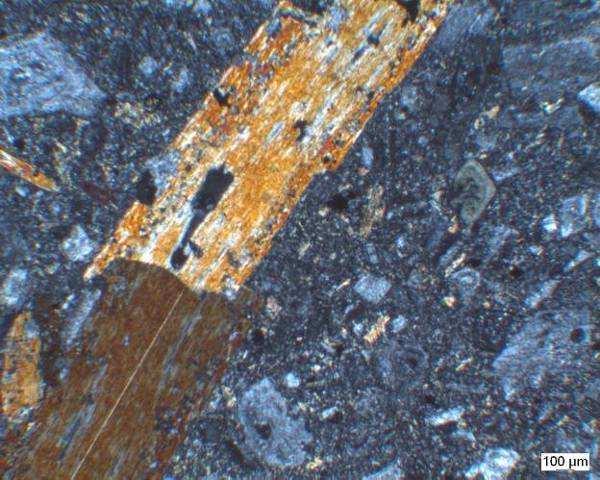 Bazı amfibol minerallerinin kenar kısımlarında kemirilmeler ve bazı opak mineral kapanımları bulunmaktadır.