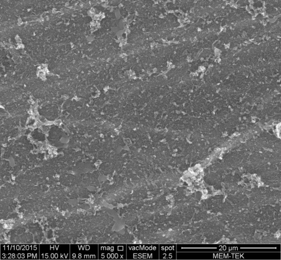 18 Şekil 3. Üretilen sülfonlanmış polisülfon nanofiber destek tabakalı ileri osmoz membranına ait SEM görüntüleri Şekil 4.