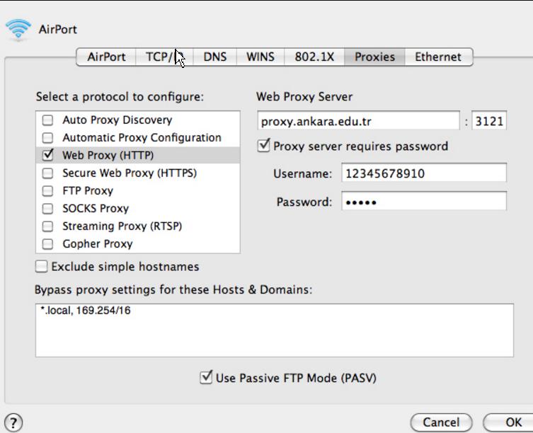 Buradaki formda Web Proxy Server alanına libpxy.cc.yildiz.edu.