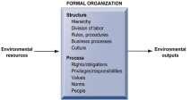 Örgütün teknik tanımı Örgüt Çevreden sağlanan girdiler Çevreye sunulan çıktılar Üretim süreci Örgütün davranışsal tanımı Resmi Örgüt Yapısı Çevreden sağlanan kaynaklar Yapı Hiyerarşi İş bölümü