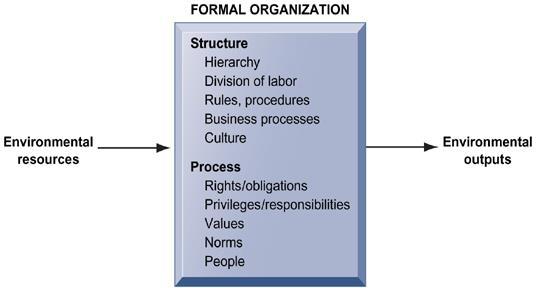 kaynaklar Yapı Hiyerarşi İş bölümü Kurallar, prosedürler İş süreçleri Kültür Süreç