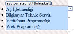 BulletedList Bir grup verinin madde işaretli bir liste halinde görüntülenmesi için kullanılan kontroldür. Öğeler, durağan olarak veya bir veri kaynağına bağlanarak eklenebilir.