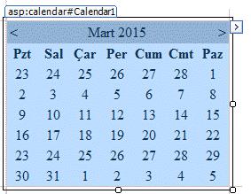 Calendar Uygulamalarda tarih seçimi yapılması için kullanılır.