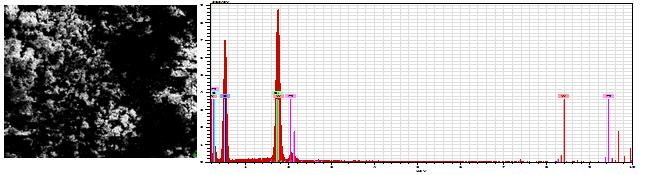 EK-2. (devam) STA/MCM-41 (W/Si: %0,625-5) ve STA/SBA-15 (W/Si: %1,25-10) katalizörleri ile etil asetat reaksiyonu sonrası elde edilen SEM görüntüleri ve EDX analiz sonuçları.