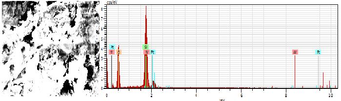 34 1.28 Silicon K-series 36.09 24.46 19.32 1.54 Oxygen K-series 61.72 41.83 57.99 8.29 Carbon K-series 15.95 10.81 19.96 3.10 Platinum M-series 5.13 3.48 0.40 0.