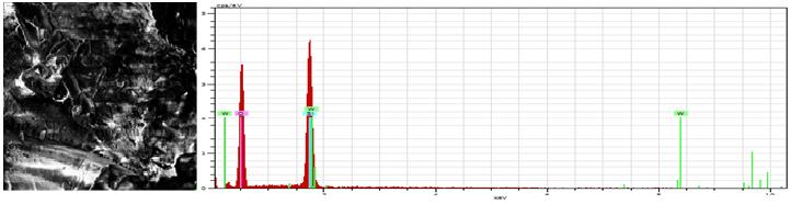 EK-2. (devam) STA/MCM-41 (W/Si: %0,625-5) ve STA/SBA-15 (W/Si: %1,25-10) katalizörleri ile etil asetat reaksiyonu sonrası elde edilen SEM görüntüleri ve EDX analiz sonuçları.