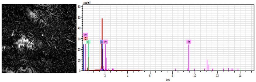 74 33.18 SiO2 95.71 86.12 1.70 Pt 78 M-series 3.86 4.29 0.46 4.29 3.86 0.18 C 6 K-series 0.00 0.00 0.00 0.00 0.00 0.00 O 8 K-series 45.86 50.97 66.36 0.00 0.00 5.