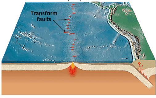 DEPREM ÇEŞİTLERİ Transform faylar.. x x x x x x x. x Sığ depremler Derin depremler.. Magma yükselimi Depremler karalarda meydana gelebildiği gibi denizlerde de meydana gelebilir.