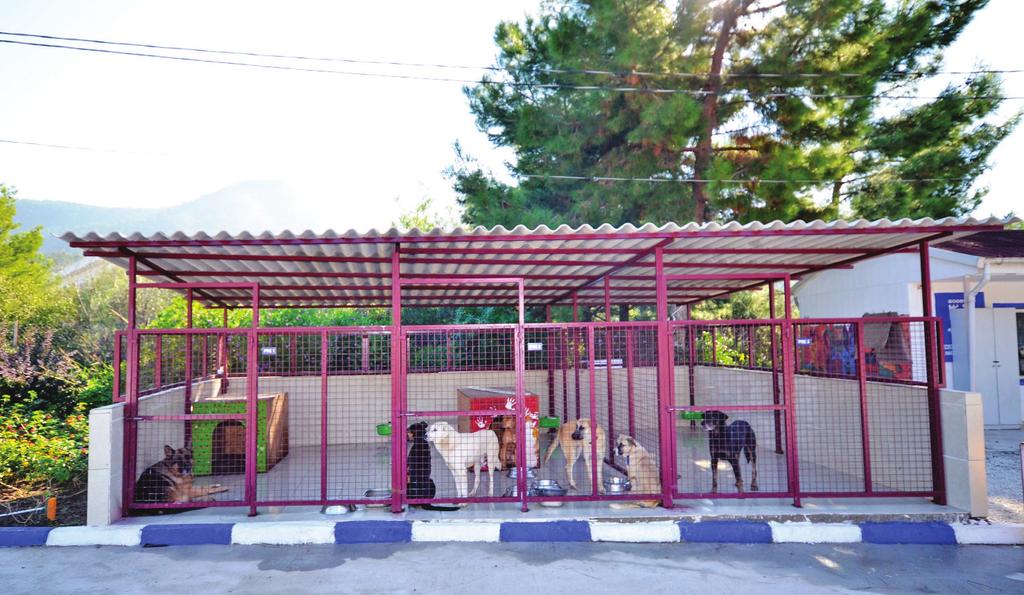 Sokak Hayvanları Geçici Bakım Merkezleri Bodrum Belediyesi nin biri Torba da diğeri Turgutreis te olmak üzere 2 adet geçici bakım merkezi bulunuyor.