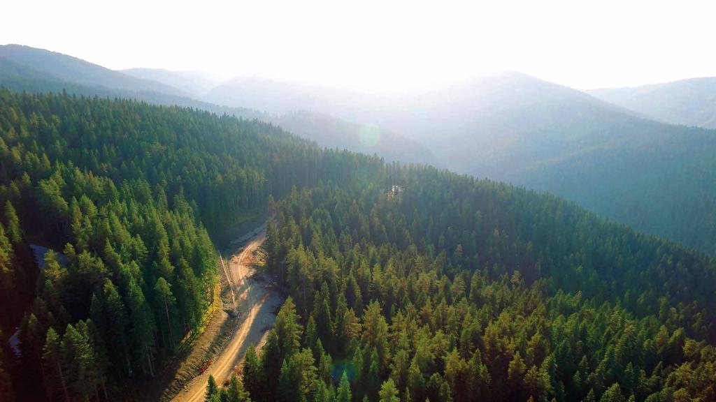 kendini gösterdiği ilkbahara Ilgaz Dağları'nda