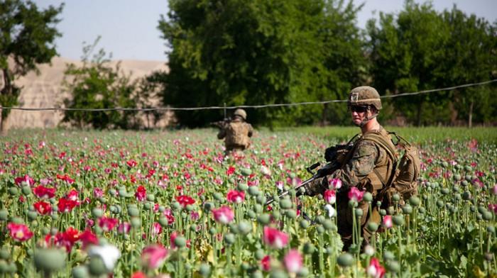 Afganistan'da Afyon Üretimi Dosyası (İnfografik) Uzun yıllar süren iç savaşlar ve dış müdahaleler sonucu istikrarsızlaşan Afganistan, dünya afyon üretiminin yaklaşık olarak yüzde 90'ını karşılıyor.