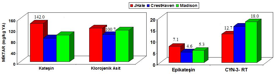 1 mg/kg olarak bulunan klorojenik asit ısıtmanın artından % 128.7 artarak 130.6 mg/kg değerine yükselmiştir. Isıtılan bu mayşe palperde pulp ve posaya ayrıldığında iki üründe de değişim görülmüştür.