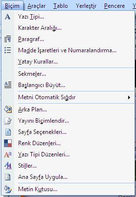 BİÇİM MENÜSÜ -Ekle-Nesne: Sayfaya diğer programlar üzerinden