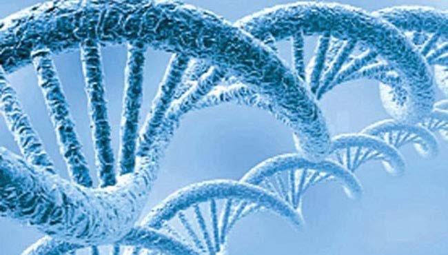 DNA Hasarı ve Onarımı