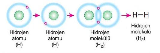 Örnek: Tek atomlu moleküllerde kovalent bağ; bağlayıcı elektron çifti Bağlayıcı elektron çifti: Kovalent bağdaki