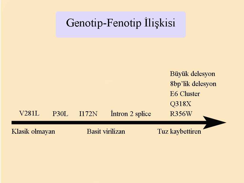 %1-11 I172N ~%20-50 Orta (Klasik olmayan) P30L V281L P453S Enzim aktivitesine gore hastalığın şekli (fenotip) belirlenmektedir. 21-OHD de Genotip-Fenotip ilişkisi aşağıdaki şekilde belirtilmektedir.