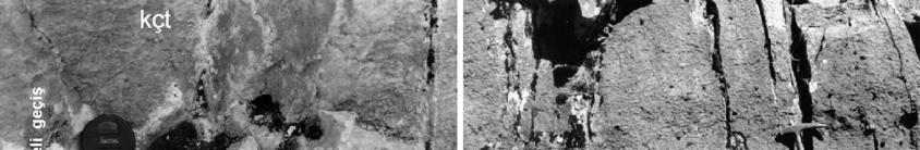 Sarıkamış Formasyonunun Stratigrafisi ve Çökelme Ortamı (Elazığ GD su) etkinliğini sürdüren Doğu Anadolu Fay Sistemi nin en azından Geç Kretase den bu yana var olduğunun kanıtı olarak düşünülmüştür.