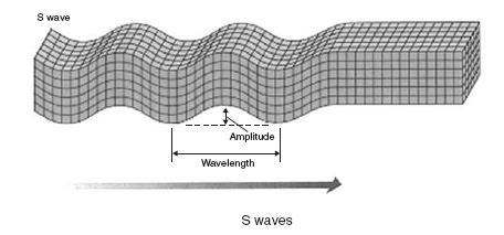 S Dalgası Bu dalgalar cisimleri aşağıya-yukarıya ve sağa-sola doğru hareket