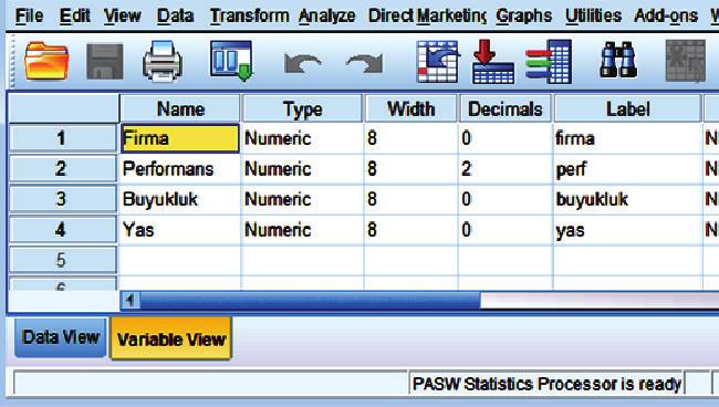 Temel İstatistiki Metotlar 187 Değişkenler Firma, Performans, Buyukluk ve Yas Variable View ekranından eklenir.