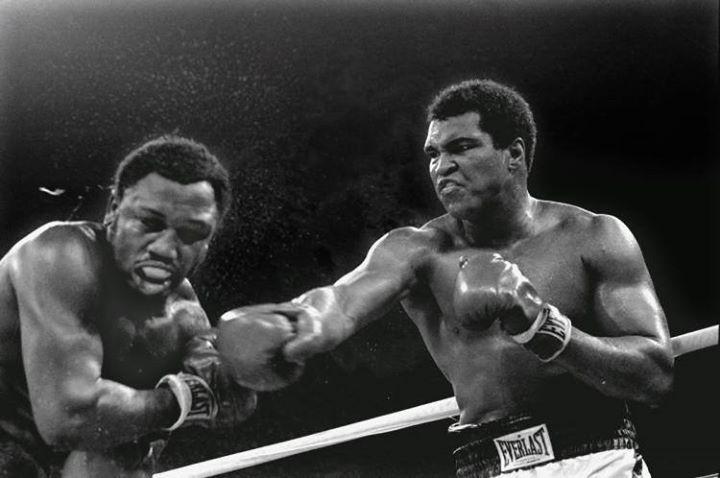 Muhammed Ali Joe Frazier 2. maç ( 1 Ekim 1975) 1978 yılında ringlere veda ettiğinde dünya şampiyonuydu. Boksu bıraktıktan sonra 1984 yılında Parkinson hastalığına yakalandı.