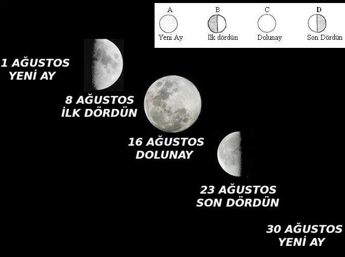 Ay'ın Evreleri; Ay ın evrelerinin meydana gelmesinin nedeni Ay ın Dünya etrafında dönmesidir. Ay ın evreleri belli bir sıraya göre oluşur. Şimdi bu sıraları inceleyelim: 1.