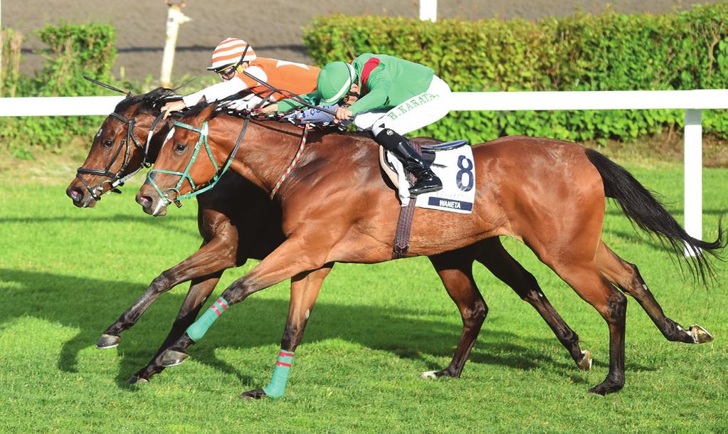 Golden Victory, Acclamation), jokeyi Ahmet Çelik ile kazandı. 1600 Metre çim pistte gerçekleşen 500.000 TL ikramiyeli koşuda, Waneta starttan en geri çıkarken koşunun liderliğini Miss Helin aldı.