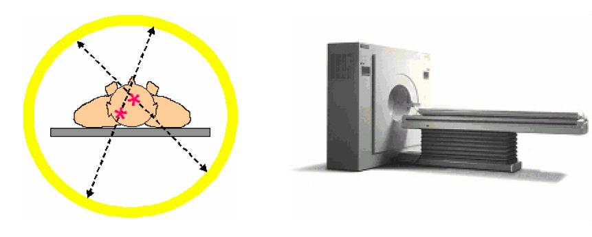 Şekil 2.3.3: PET görüntüleme sistemi 2.3.4. PET Radyofarmasötik Ajanları: PET görüntülemede kullanılan radyonüklidlerin fizik yarı ömürleri 1.3 ile 110 dakika arasında değişmektedir.