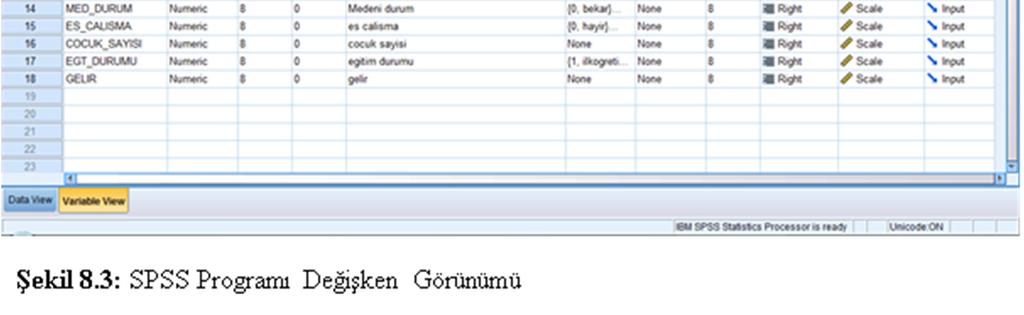 tanımlaması Sütun genişliği hizalama Değişkene ait ölçüm düzeyi Değişken türü * IBM SPSS