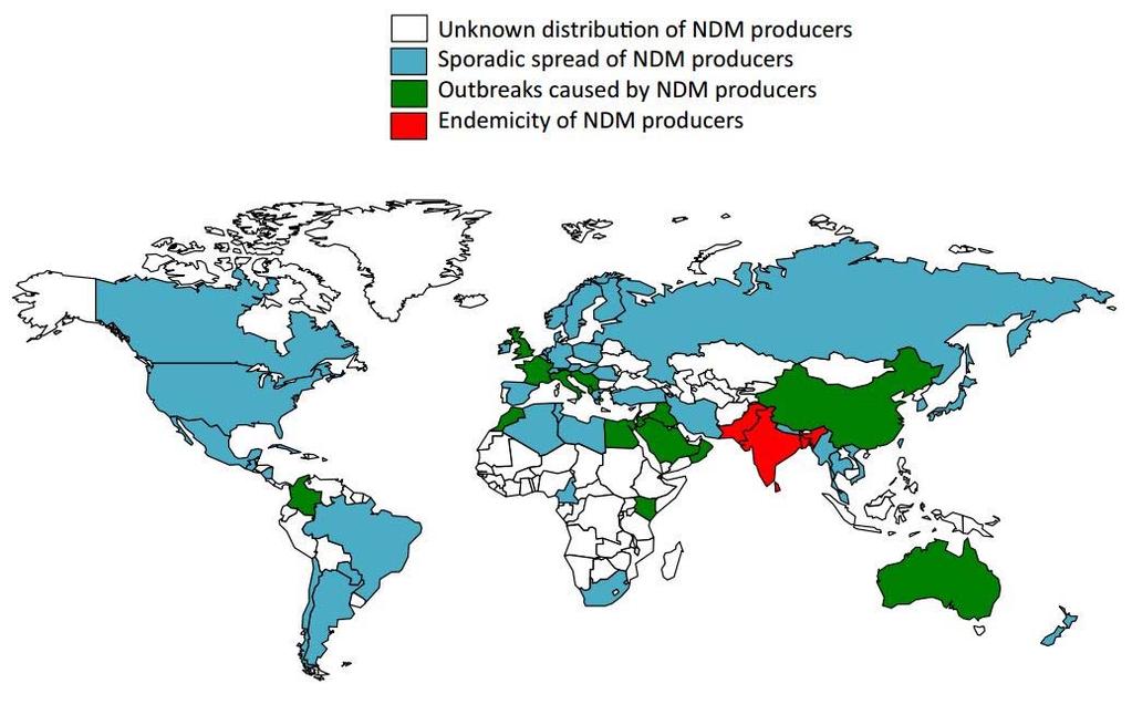 NDM üreten kökenlerin dünya çapında coğrafi dağılımı Nordmann P et al.