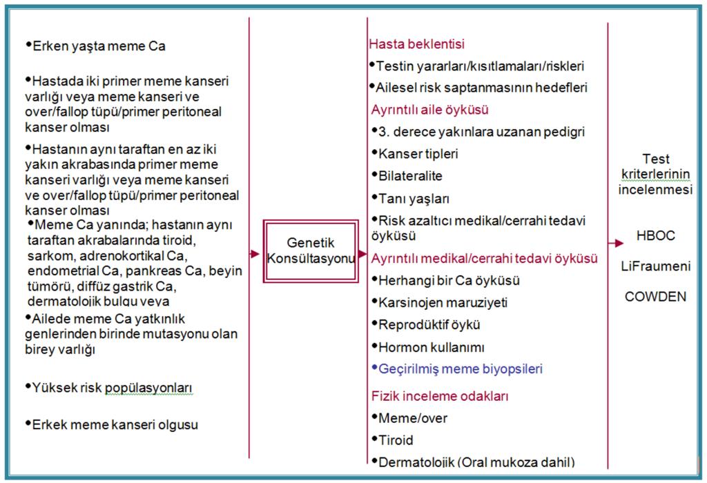 MEME KANSERİNDE AİLESEL / GENETİK RİSK FAKTÖRLERİ Genel popülasyon riski %10-12 olan meme kanserinde cinsiyet, yaş, menarş ve menopoz yaşı, nulliparite, meme biyopsisinde atipik hiperplazi, obezite,