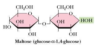 Maltoz Nişastanın amilaz ile parçalanması sırasında ortaya çıkar Çimlenmekte olan tahıllarda bol bulunur, özellikle de arpada bol bulunur ve bira