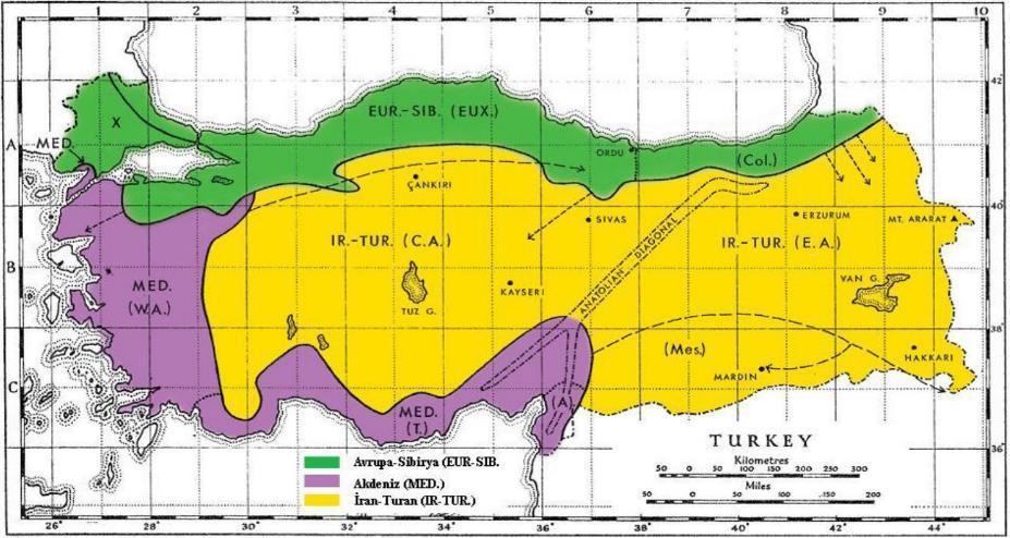 Türkiye Flora Bölgeleri 2.Akdeniz flora bölgesi (Akdeniz, Ege, Güney Marmara kıyılarında) 3.