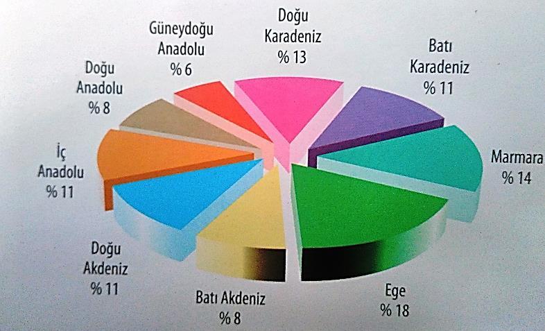 Turkey s Region