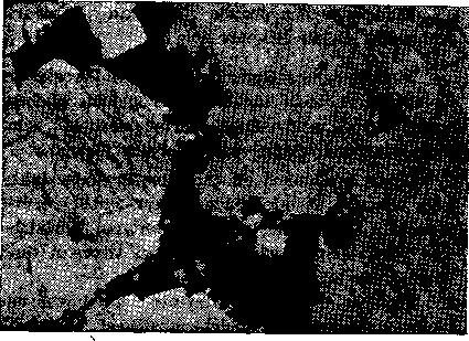 Besim : 1 Ergani Maden Bakır Yatağı Kataklastik pirit (beyaz), gangart (siyah).