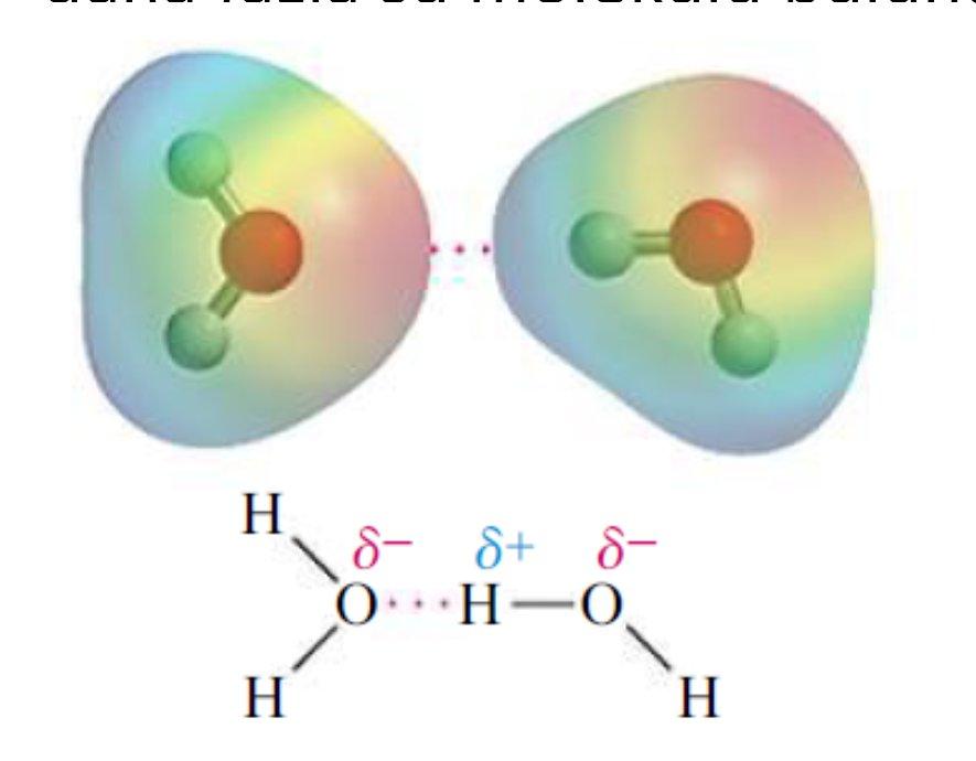 Suda Hidrojen Bağı: Suda her bir su molekülü dört su molekülüyle H bağı yaparak suyun düzgün dört yüzlü yapısını oluşturur.