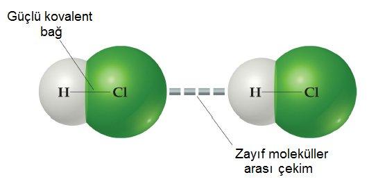 Moleküller Arası Kuvvetler: Moleküller arasındaki kuvvetler, bileşikleri bir arada tutan molekül-içi çekim kuvvetleri kadar kuvvetli değildirler.