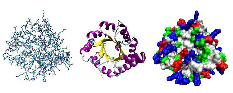 İSKELET DOKULARININ KİMYASAL YAPILARI I.1.b. PROTEİNLER: Proteinler, amino asitlerin zincir halinde birbirlerine bağlanmasından oluşan büyük organik bileşiklerdir.