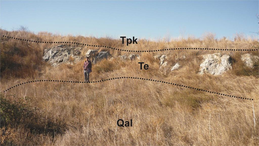 Dokanak İlişkileri: İnceleme alanı içerisinde güney bölümlerde yüzeyleyen birim, Taşlısekban köyü dolayında ve Süloğlu KB'sında Üst Paleozoyik ortognaysları üzerine, Keramettin köyü dolayında ve