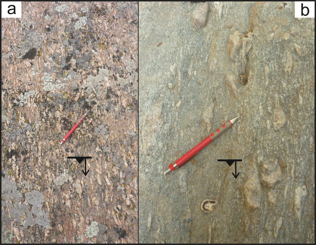 Şekil 3.9. (a) Üst Paleozoyik metagranitlerinde mineral lineasyonu (Çardakmeşe Tepe GD'su), (b) Erken Triyas yaşlı metakonglomeralarda çakıl lineasyonu (Vaysal güneyi).