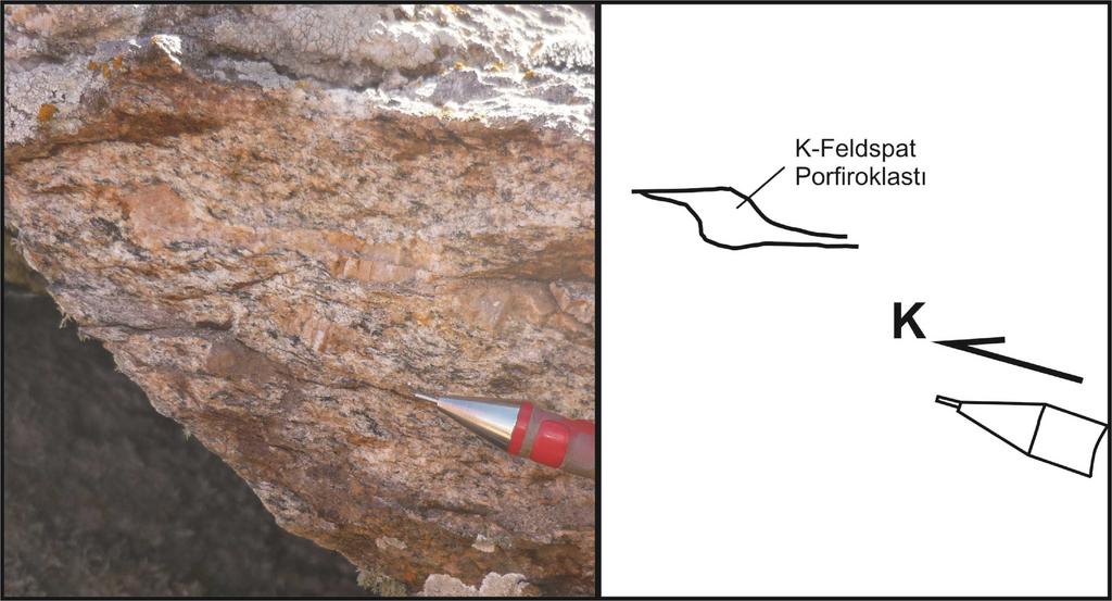 Şekil 3.12. Üst Paleozoyik ortognayslarında σ tip porfiroklast (Çardakmeşe Tepe güneyi, kalem ucu kuzeyi gösterir).