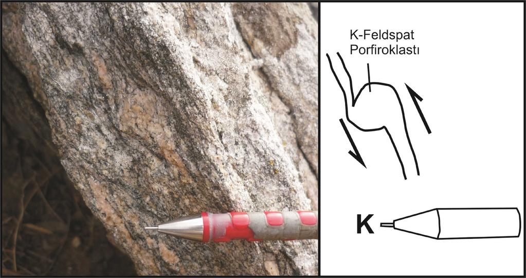 . Üst Paleozoyik ortognayslarında δ tip porfiroklast (Keramettin köyü kuzeyi, kalem ucu kuzeyi gösterir). 3.2.1.