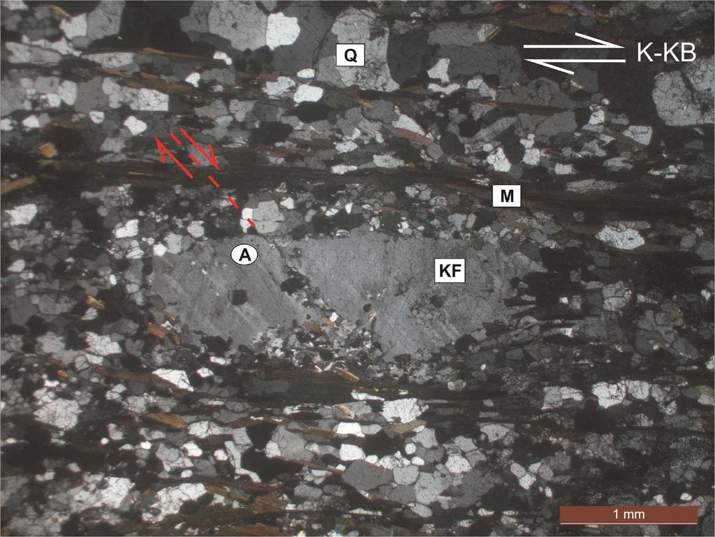 Migmatitler içerisindeki sigmoidal şekilli ortoklaz mineralleri (Or: Ortoklaz, M: Mika, Q: Kuvars, Çift nikol). Hareket yönü üst K-KB'yadır. Şekil 3.