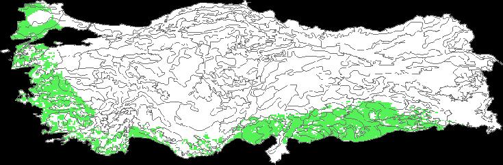 Tarım Havzası Ürün