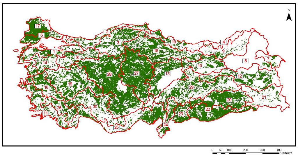 Model Öncesi ve Sonrası Üretim Çeltik