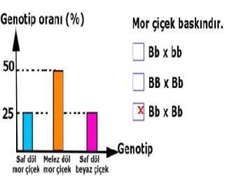 Grafiklerdeki oranların çıkmasını sağlayan çaprazlamanın kutucuğunu işaretleyiniz.