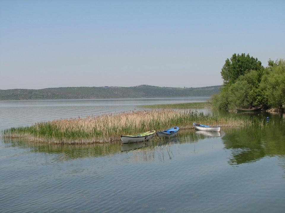 1997 de yapılan çalışmada sucul bitkilerin gölde yoğun yataklar oluşturduğu ve gölün toplam alanının yaklaşık % 65-70 ini kapsadığı tespit edilmiştir (Ertem ve Akkaya 1997). Ertem ve Akkaya(1997).